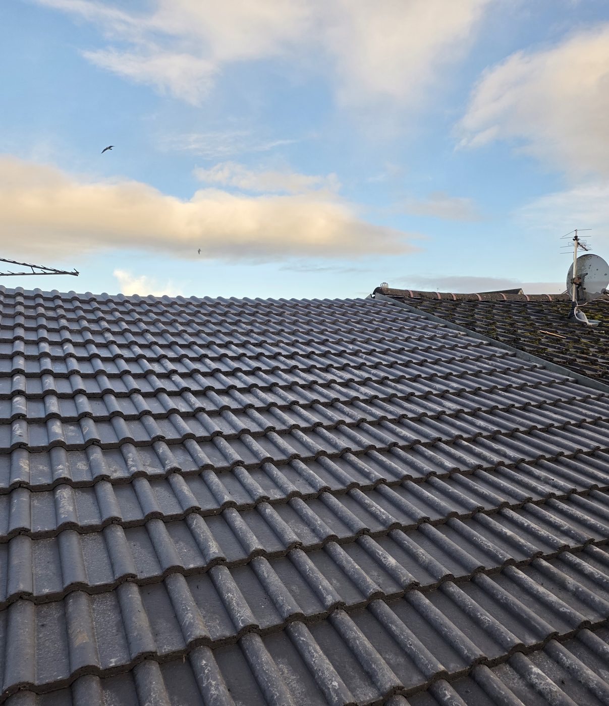 Finished tiled roof against a blue sky by Thistle Roofing and Building