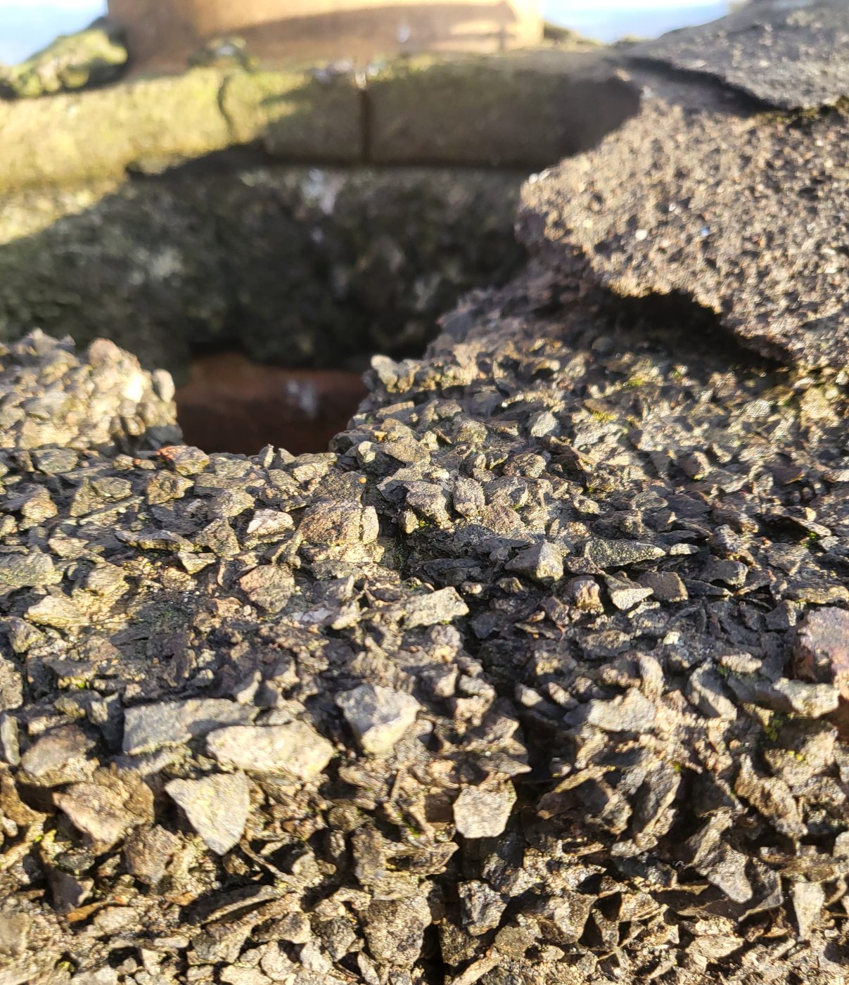 Moss and debris before a roof clean