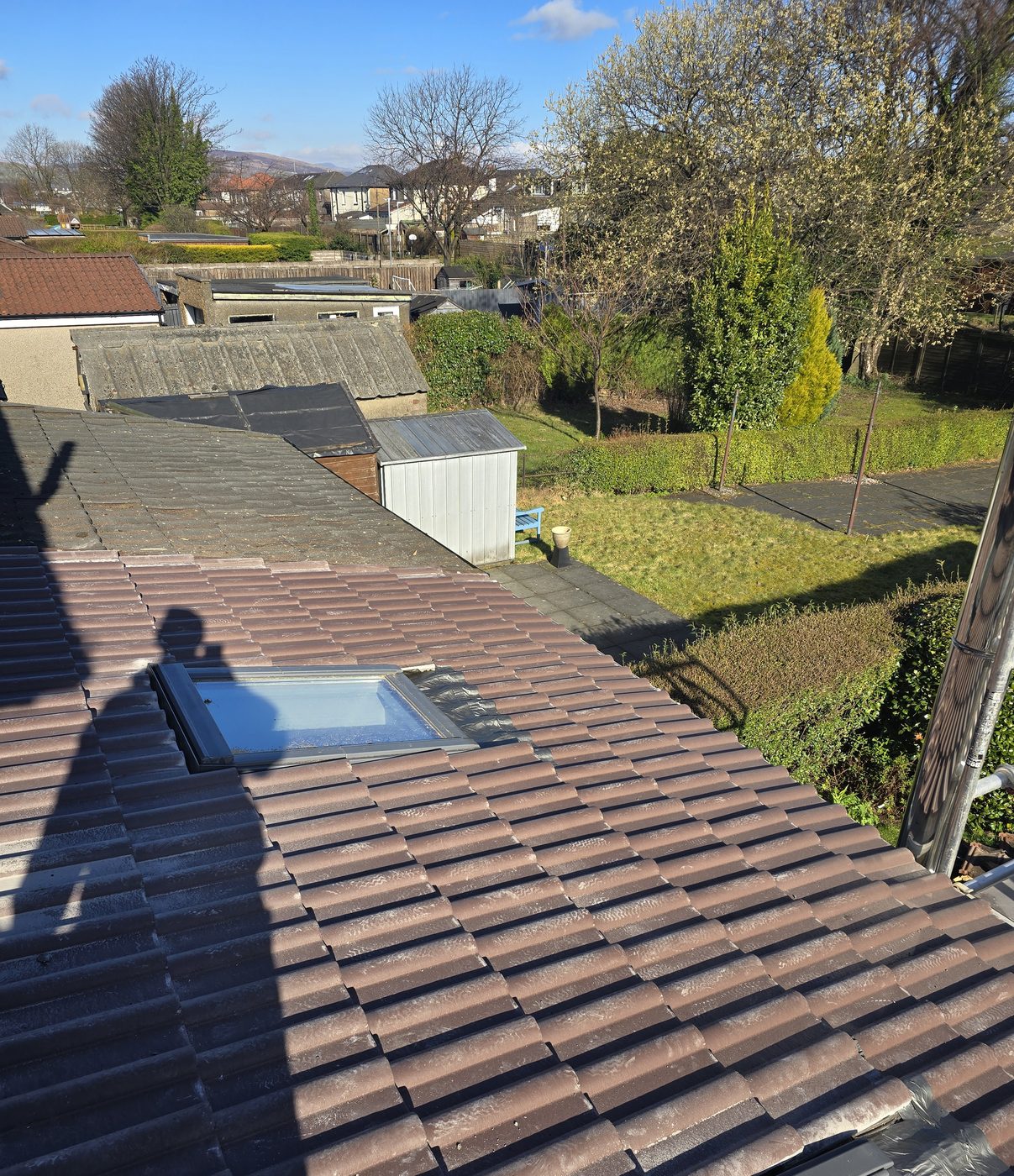 New tiled roof with a skylight by Thistle Roofing and Building